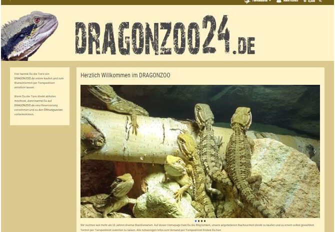 Auf DRAGONZOO24.de jetzt Reptilien online kaufen